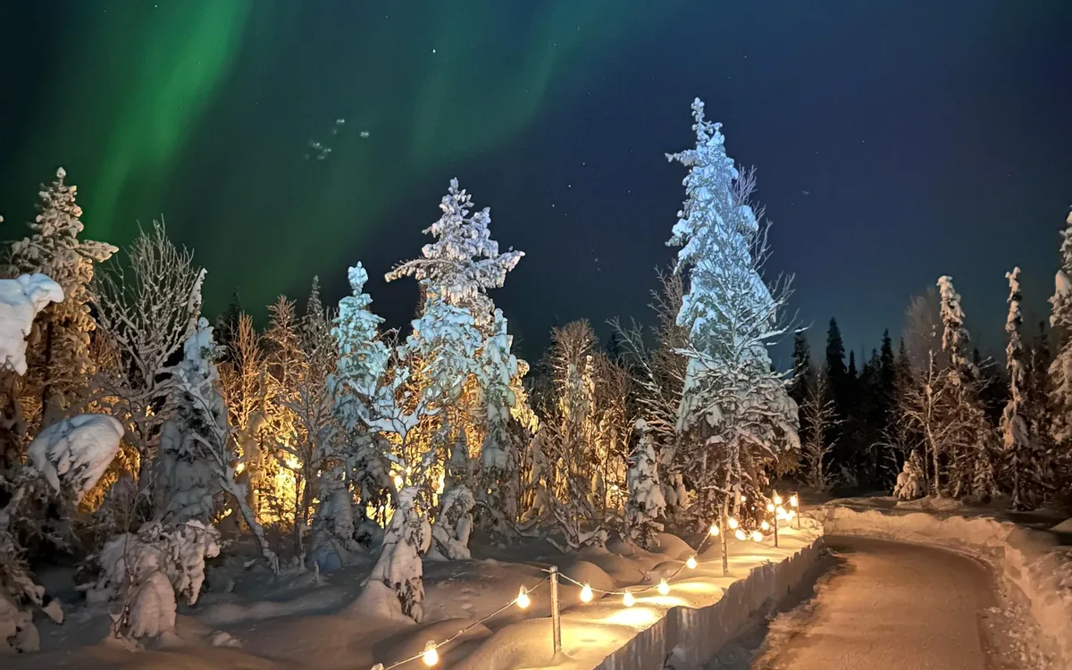 A lit path between heavily snow-covered trees with a green glow over the forest