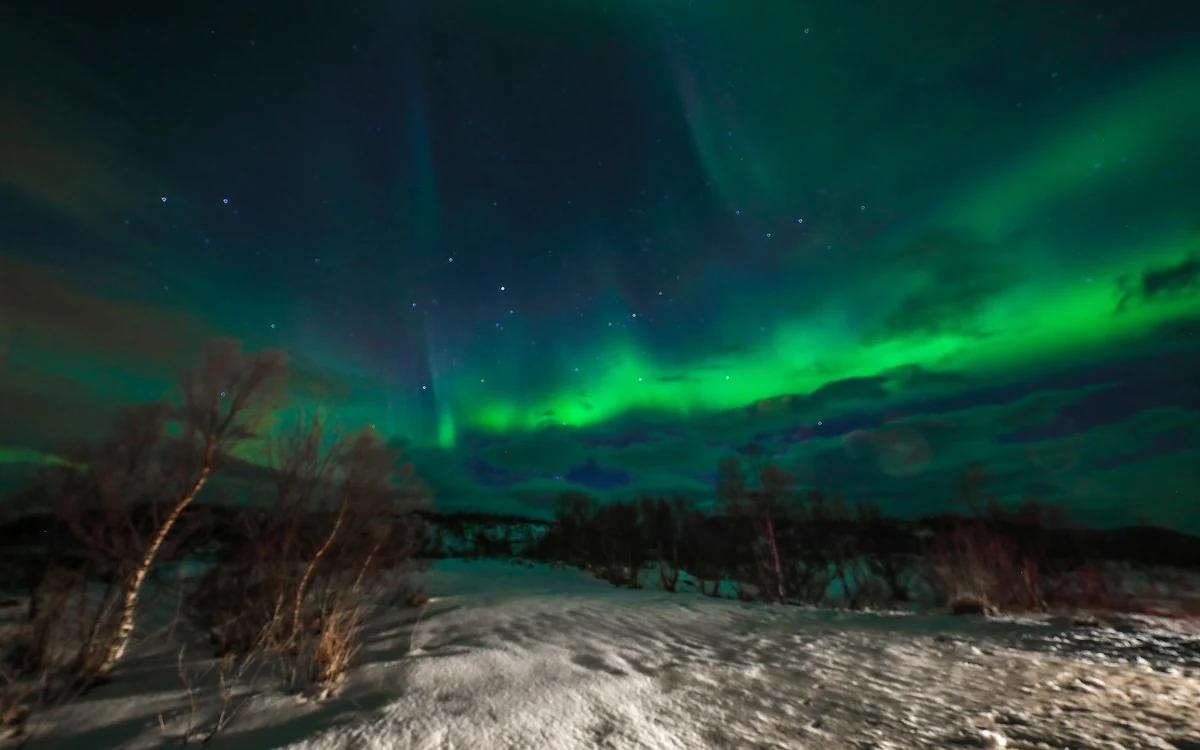 A clear starry sky over dark forest near Levi in Finnish Lapland