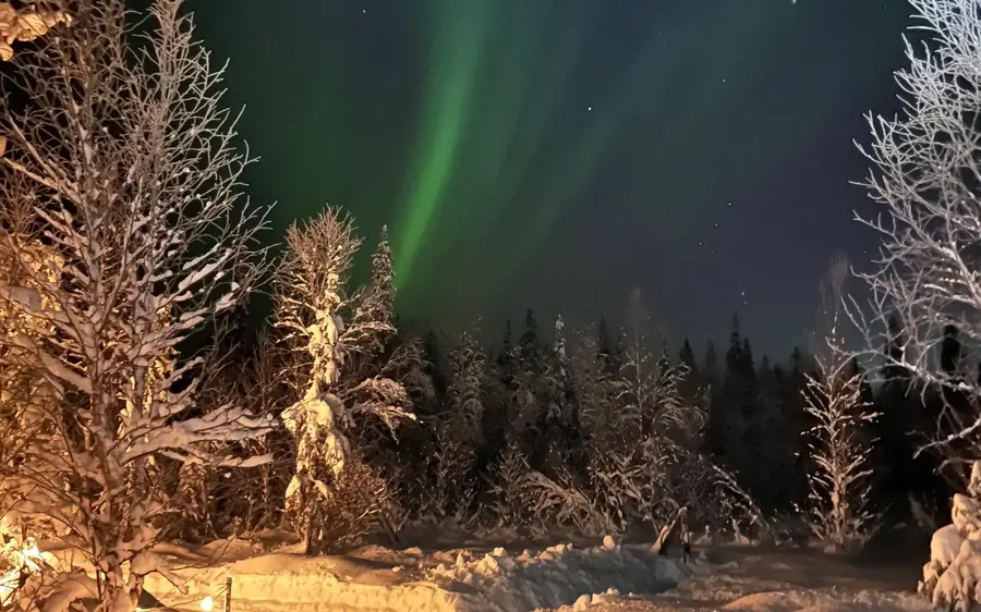 Snow-covered trees along a lit track under a green sky