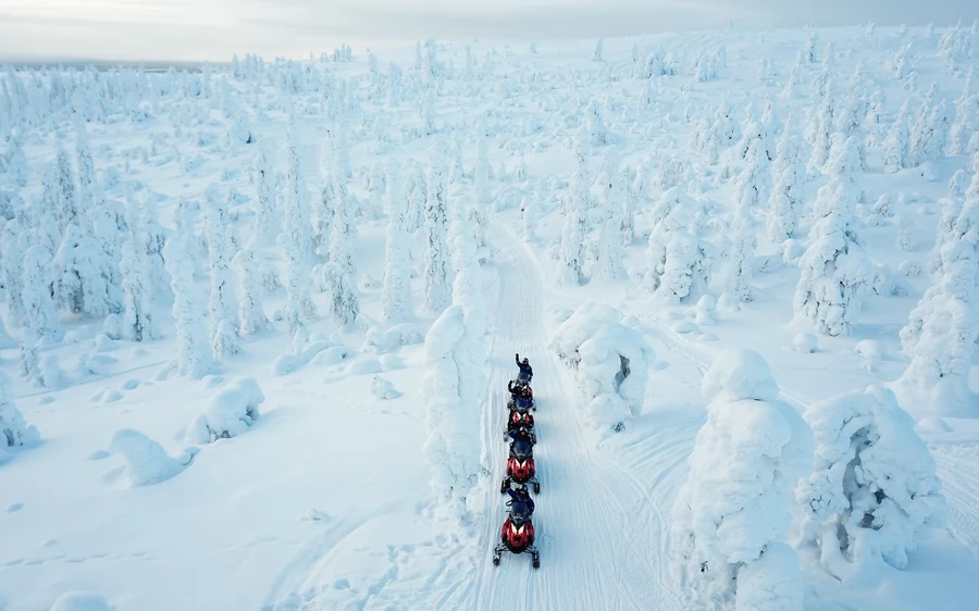 Aerial view of a line of snowmobiles on a track through a white snow-covered forest