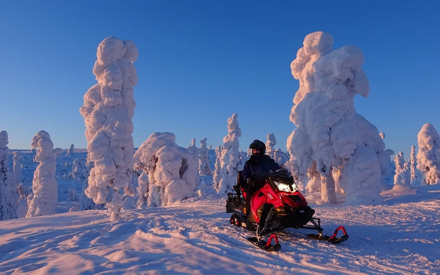 A rider on a red snowmobile among snow-covered trees in low pink sunlight