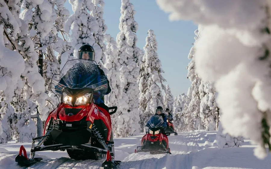 Riders on red snowmobiles on a trail between heavily snow-laden spruce